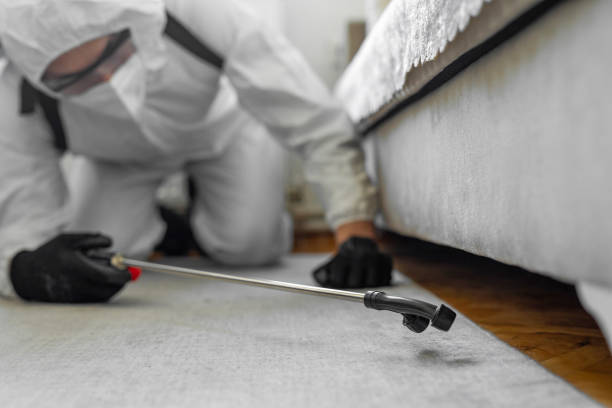Professional Cockroach Control technician working in Old Mystic, CT