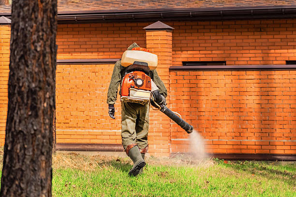Trusted Termite Control service in Old Mystic, CT - Nex Pest Control